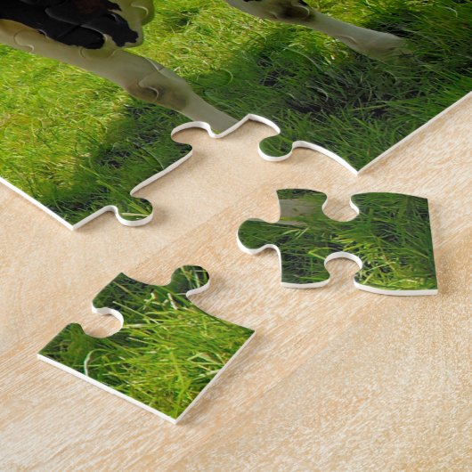 Vier babbelende koeien legpuzzel (Zijkant)