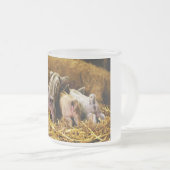 Vier Baby piglet Mangalitsa Hogs die knoppen tonen Matglas Koffiemok (Voorkant rechts)