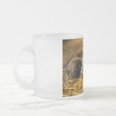 Vier Baby piglet Mangalitsa Hogs die knoppen tonen Matglas Koffiemok (Links)