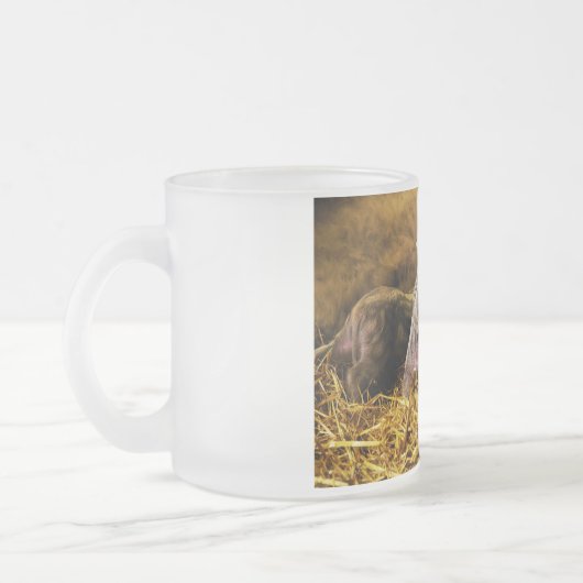 Vier Baby piglet Mangalitsa Hogs die knoppen tonen Matglas Koffiemok (Links)