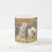 Vier Baby piglet Mangalitsa Hogs die knoppen tonen Matglas Koffiemok (Center)