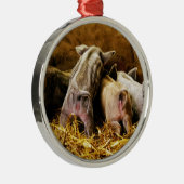 Vier Baby piglet Mangalitsa Hogs die knoppen tonen Metalen Ornament (Rechts)