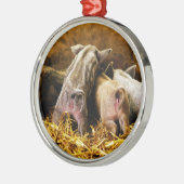 Vier Baby piglet Mangalitsa Hogs die knoppen tonen Metalen Ornament (Links)