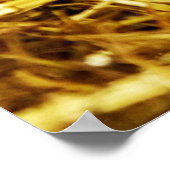 Vier Baby piglet Mangalitsa Hogs die knoppen tonen Poster (Hoek)