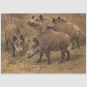 Vier beren in een graslandschap (door Rosa Bonheur Tissuepapier