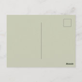 Vier berken in kleur, botanisch. briefkaart (Achterkant)