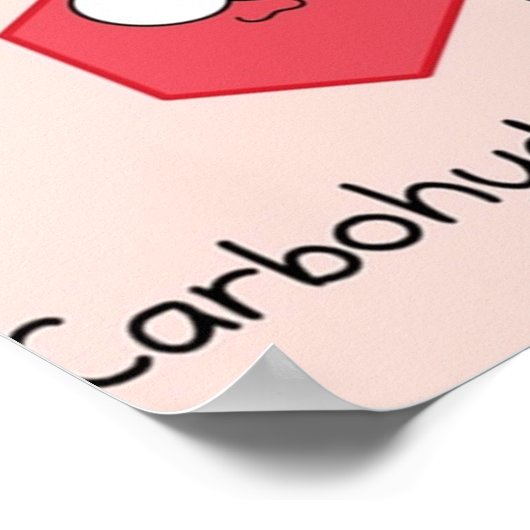 Vier biomoleculen poster (Hoek)