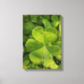 Vier blad klaver muur kunst foto canvas (Voorkant)