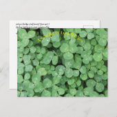 vier bladklaver briefkaart (Voorkant / Achterkant)