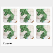 Vier bladluiken vierkante sticker (Vel)