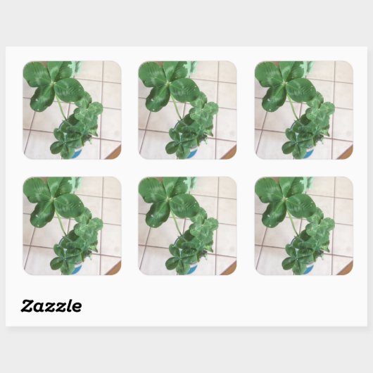 Vier bladluiken vierkante sticker (Vel)