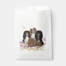 Vier Cavalier King Charles Spaniels in Flowers