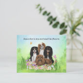 Vier Cavalier King Charles Spaniels in Flowers Briefkaart (Staand voorkant)