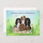 Vier Cavalier King Charles Spaniels in Flowers Briefkaart (Voorkant / Achterkant)