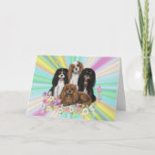 Vier Cavalier King Charles Spaniels in Flowers Kaart (Voorkant)