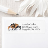 Vier Cavalier King Charles Spaniels Simple Etiket (Insitu)