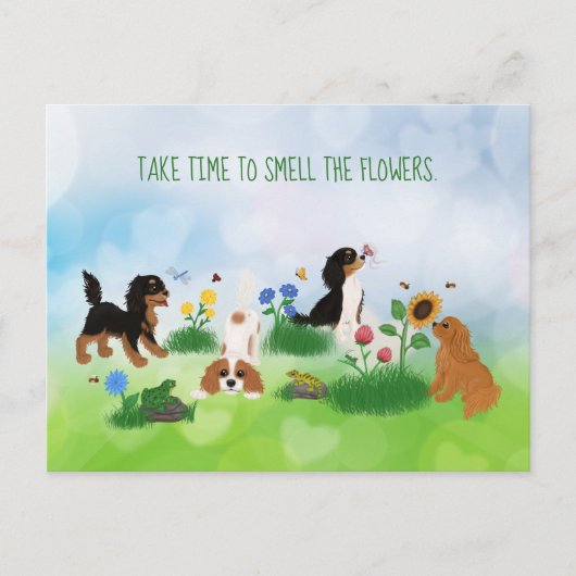 Vier Cavalier Spaniels in een Vloergebied Briefkaart (Voorkant)