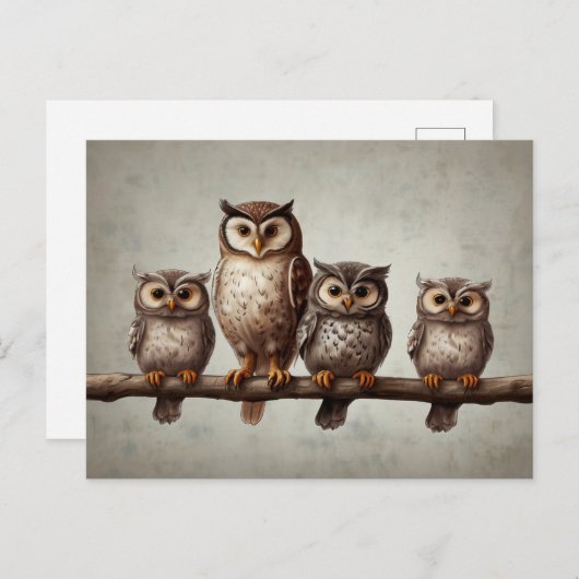 Vier charmante uilen briefkaart (Voorkant / Achterkant)