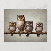 Vier charmante uilen briefkaart (Voorkant)