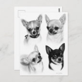 Vier Chihuahua's realistische handgeschilderde kun Briefkaart (Voorkant / Achterkant)