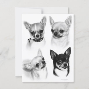 Vier Chihuahua's realistische handgeschilderde kun Briefkaart