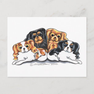 Vier CKCS Briefkaart