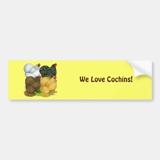 Vier Cochin Hens Bumpersticker (Voorkant)