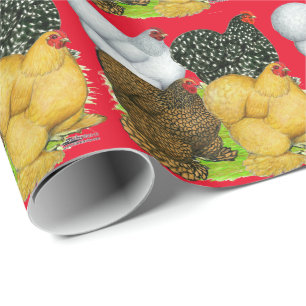 Vier Cochin Hens Cadeaupapier
