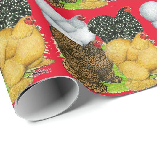 Vier Cochin Hens Cadeaupapier (Rol Hoek)