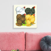 Vier Cochin Hens Canvas Afdruk (Insitu (Woonkamer))