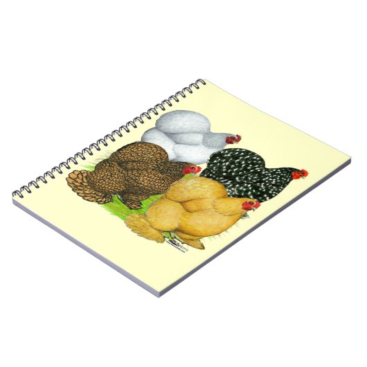 Vier Cochin Hens Notitieboek (Linkerzijde)