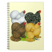 Vier Cochin Hens Notitieboek (Voorkant)