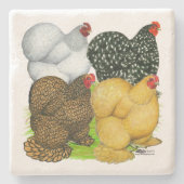 Vier Cochin Hens Stenen Onderzetter (Voorkant)