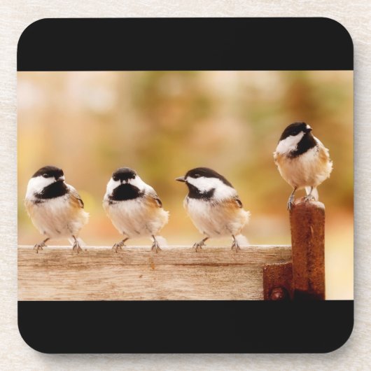 Vier Cute Chickadees Onderzetter (Voorkant)