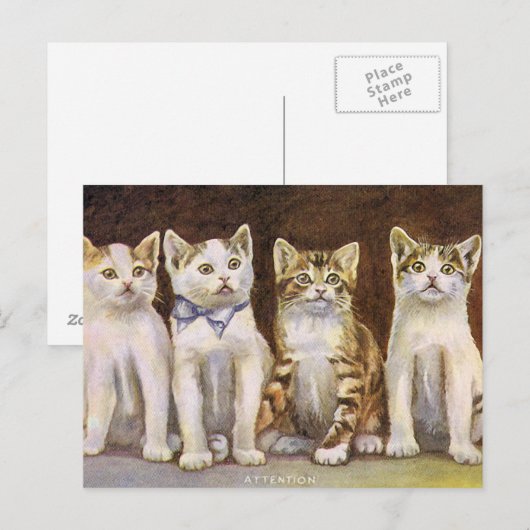 Vier Cute Kittens  Illustratie Briefkaart (Voorkant / Achterkant)