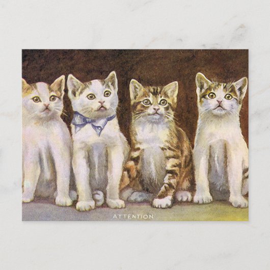 Vier Cute Kittens  Illustratie Briefkaart (Voorkant)