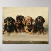 Vier Dachshond Puppies | Carl Reichert Poster (Voorkant)