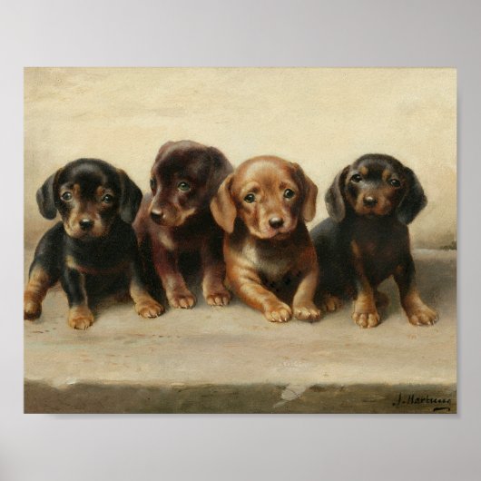 Vier Dachshond Puppies | Carl Reichert Poster (Voorkant)