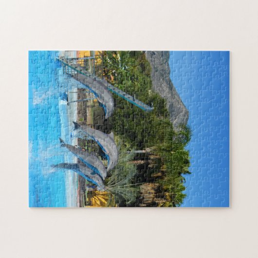 Vier dolfijnen legpuzzel (Horizontaal)