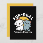 Vier echte vrienden voor altijd | Schattige kat en (Voorkant / Achterkant)
