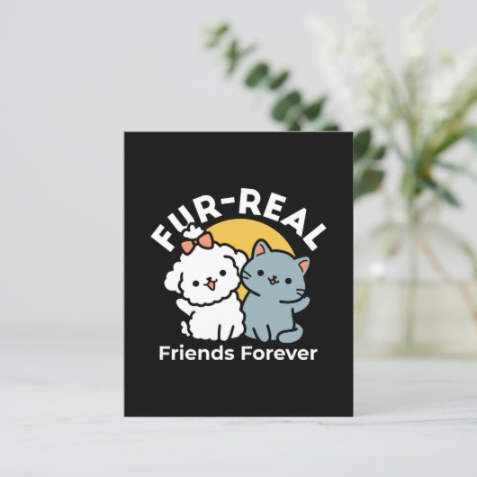 Vier echte vrienden voor altijd | Schattige kat en (Staand voorkant)
