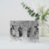 Vier eendags oude eenden die uit de schaduw zijn g briefkaart (Staand voorkant)