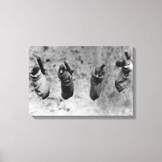Vier eendags oude eenden die uit de schaduw zijn g canvas afdruk (Voorkant)