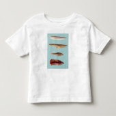 Vier flattools kinder shirts (Voorkant)