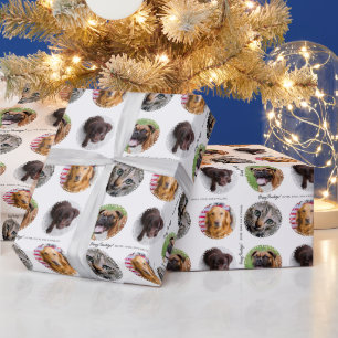 Vier foto Pet Lover Pawliday cadeaupapier