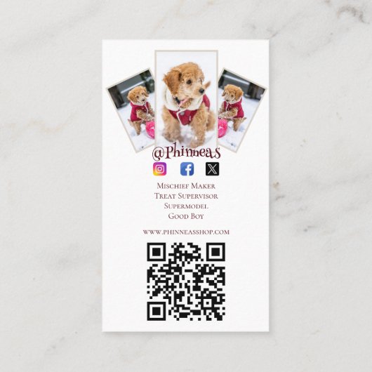 Vier foto Petfluencer Visitekaartje (Achterkant)