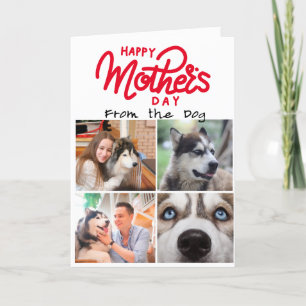 Vier foto's aangepaste collage voor Husky Moms Kaa Bedankkaart