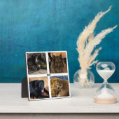 Vier foto's opstaan Lijst Fotoplaat (Insitu)