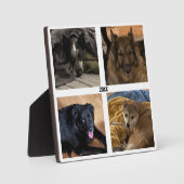 Vier foto's opstaan Lijst Fotoplaat (Voorkant)