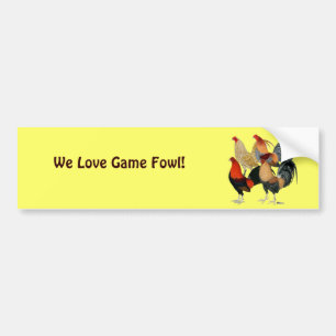 Vier Gamecocks Bumpersticker